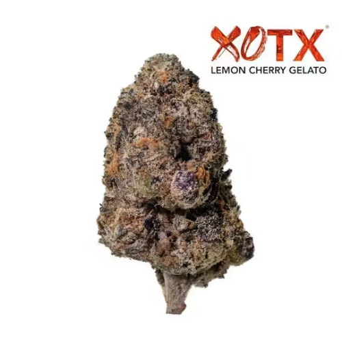 CBXE×CBGハーブ4g レモンチェリージェラート XOTX - Lemon Cherry Gelato (14) | Atrium Dispensary